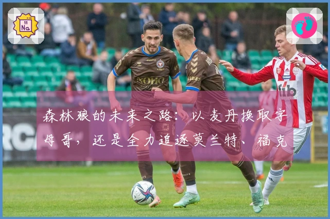 森林狼的未来之路：以麦丹换取字母哥，还是全力追逐莫兰特、福克斯与欧文？