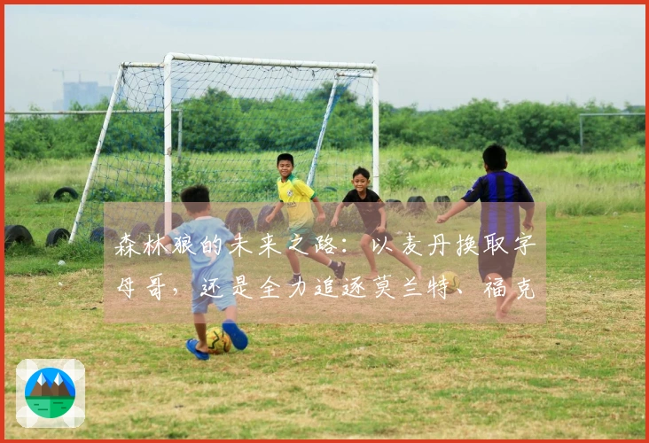 森林狼的未来之路：以麦丹换取字母哥，还是全力追逐莫兰特、福克斯与欧文？